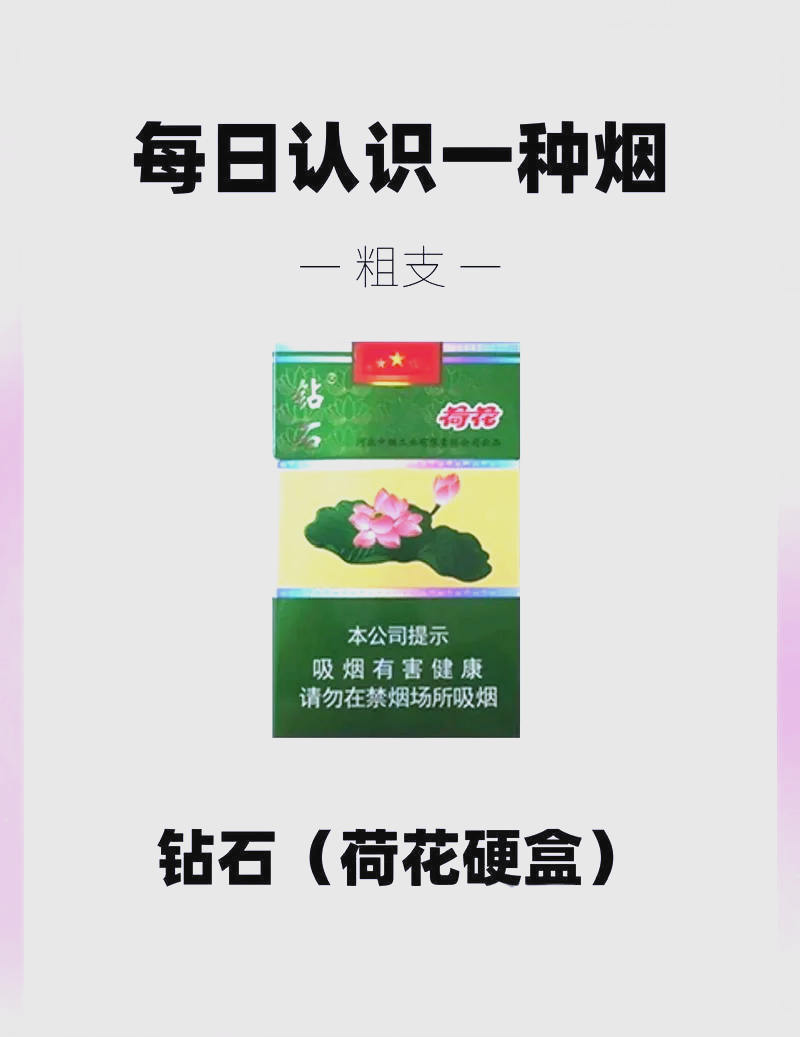 荷花价格表图大全