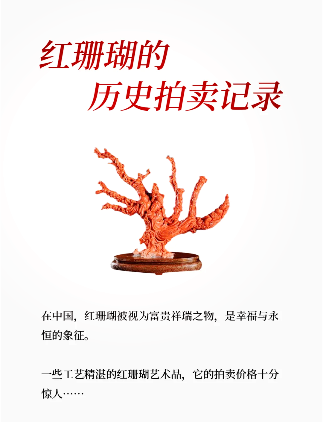珊瑚价格价格表