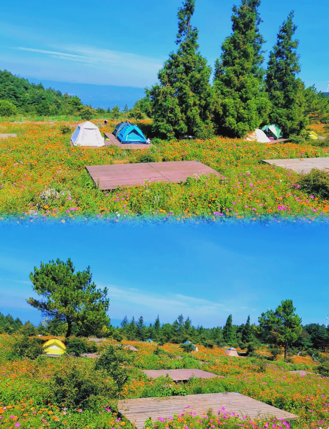 千野草场天气马上知