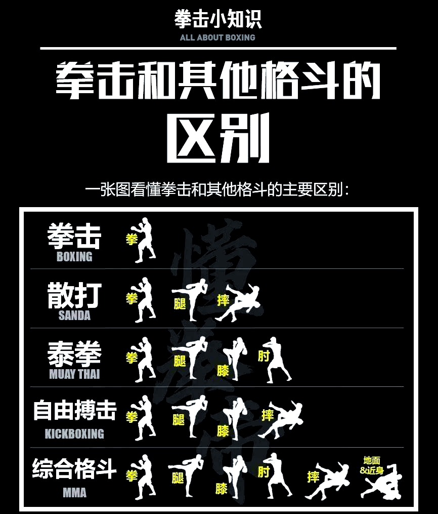 综合格斗游戏视频解说完整版(综合格斗游戏视频解说完整版大全)
