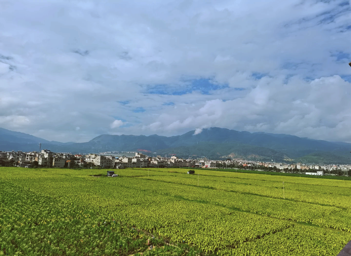 昆明抚仙湖天气预报今日情况