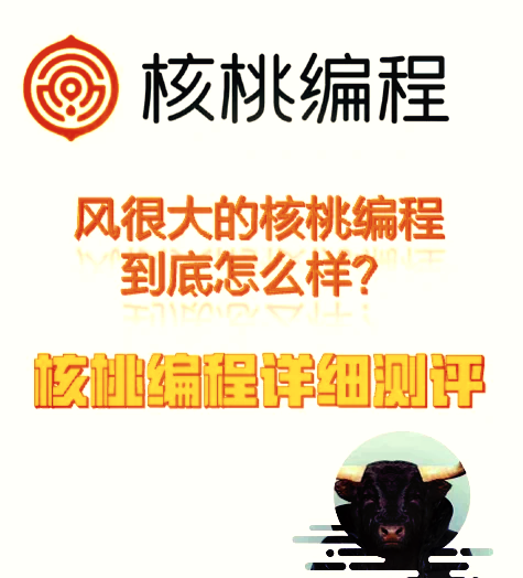 核桃编程学python吗