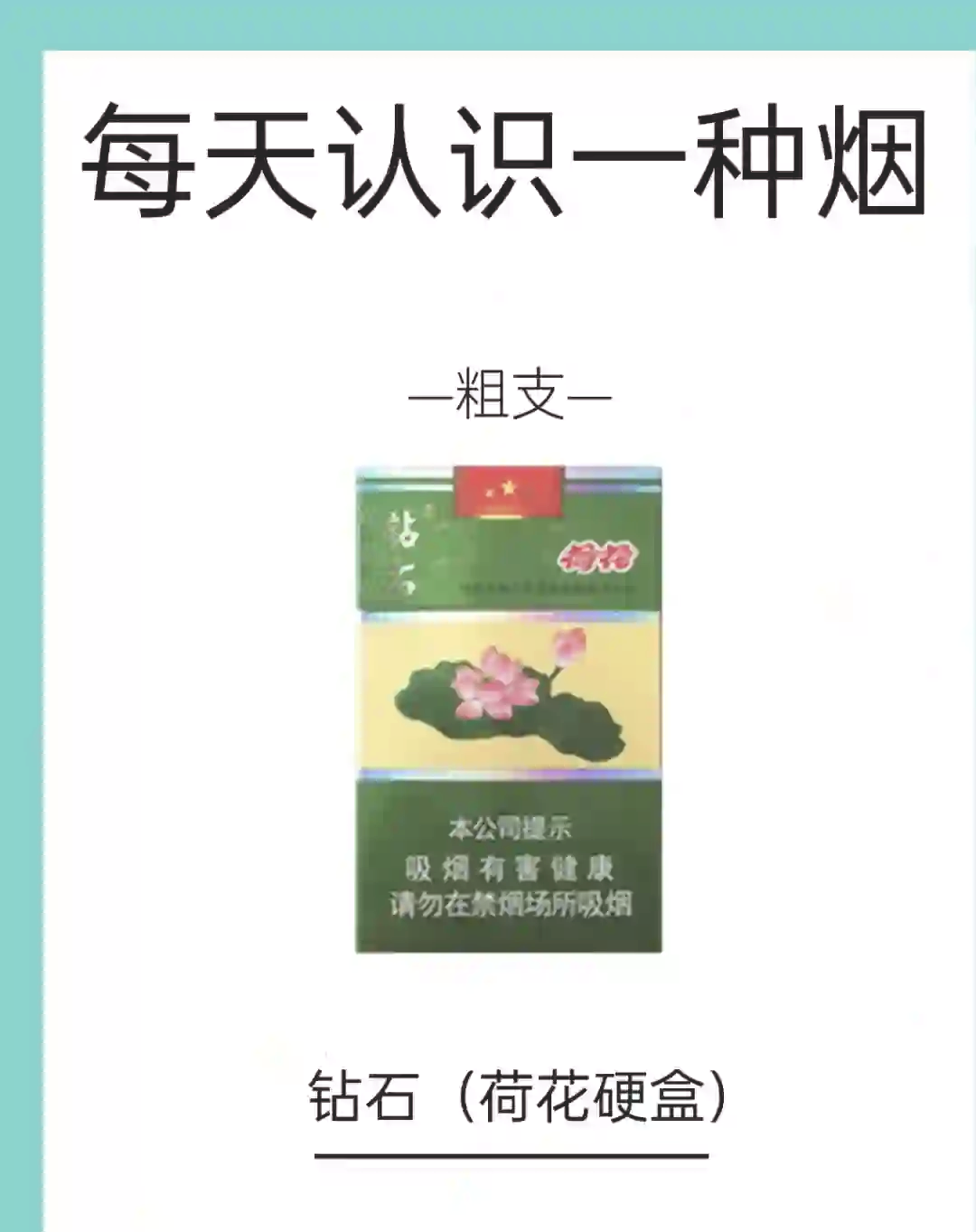 钻石荷花6种价目表图片
