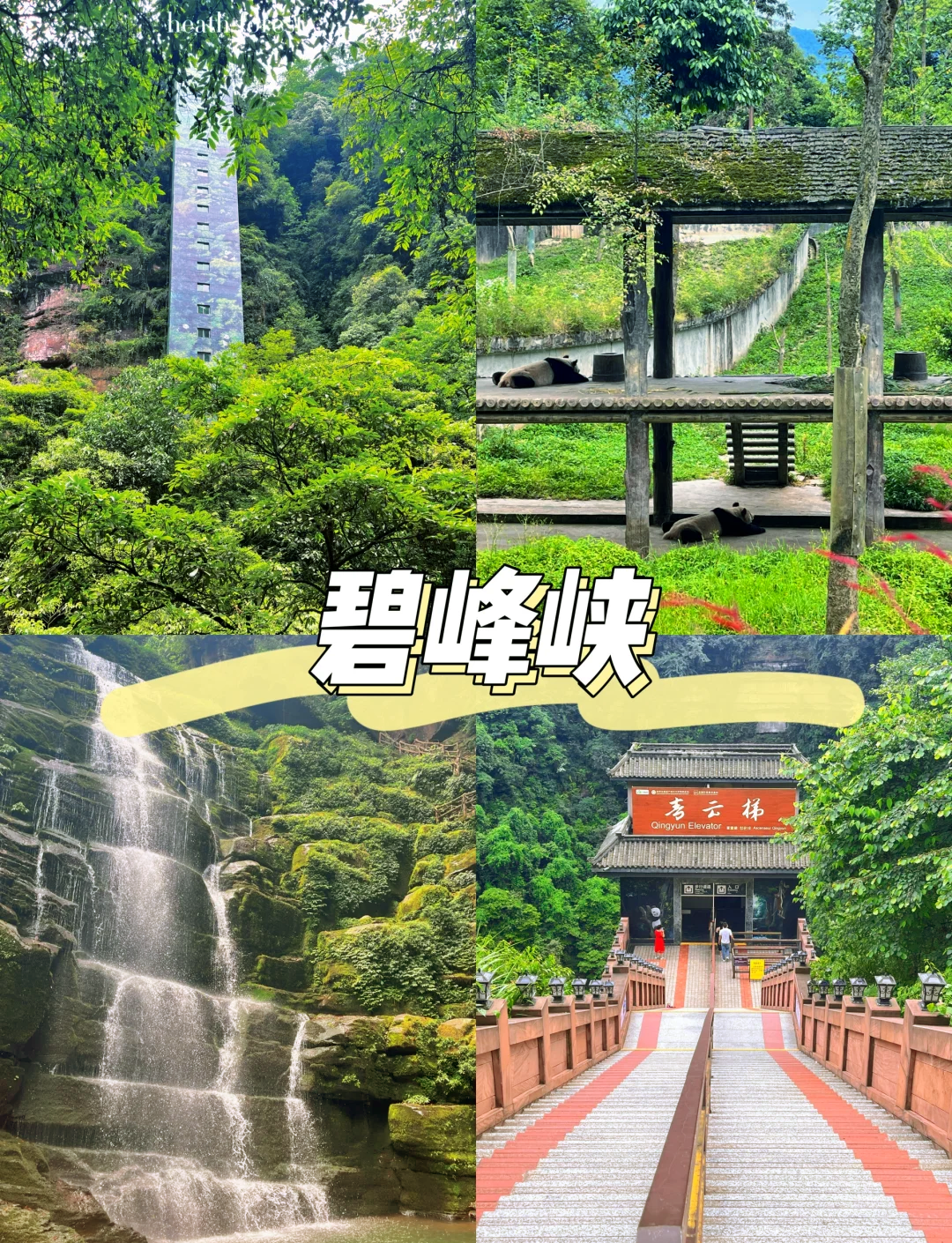 雅安碧峰峡天气马上知