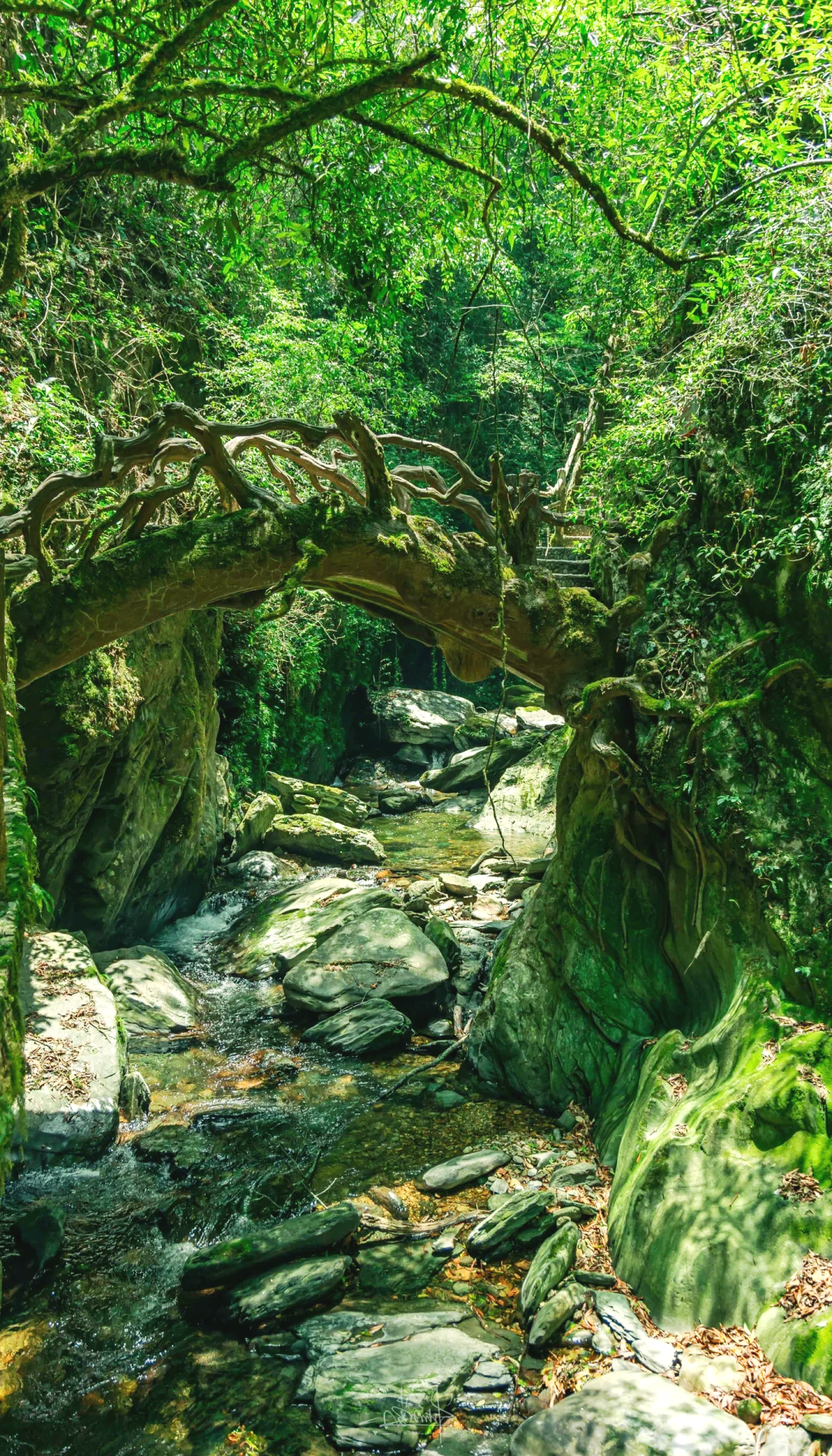 新平石门峡风景区图片