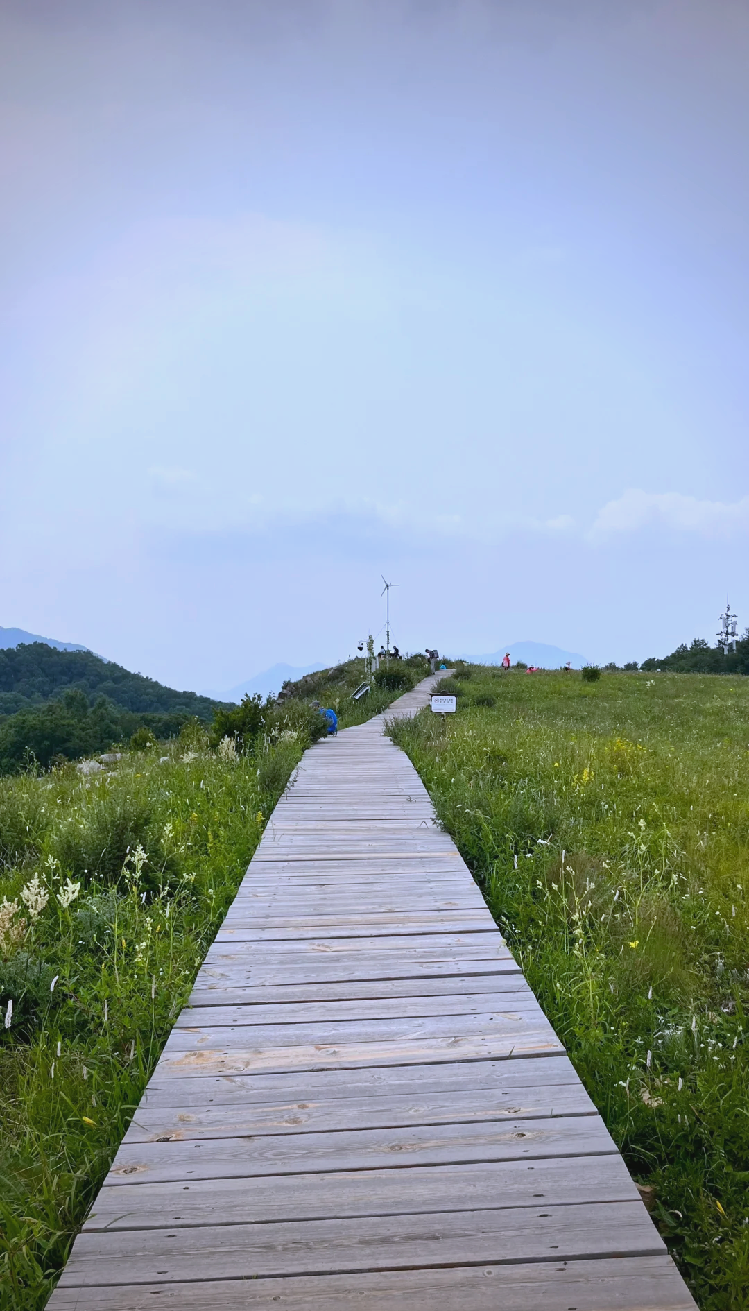 自然风景区 百花山图片