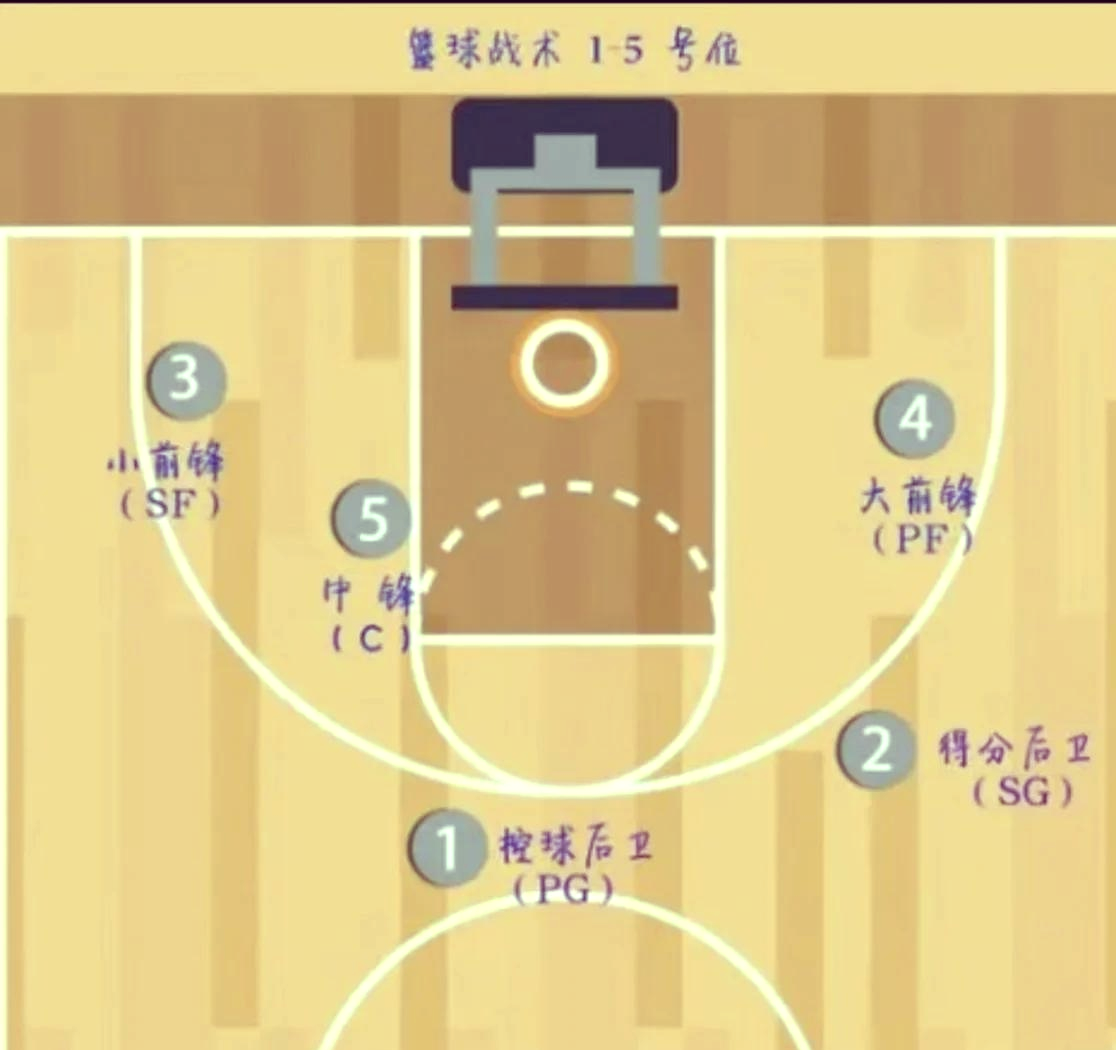 篮球5v5各位置站位图片图片