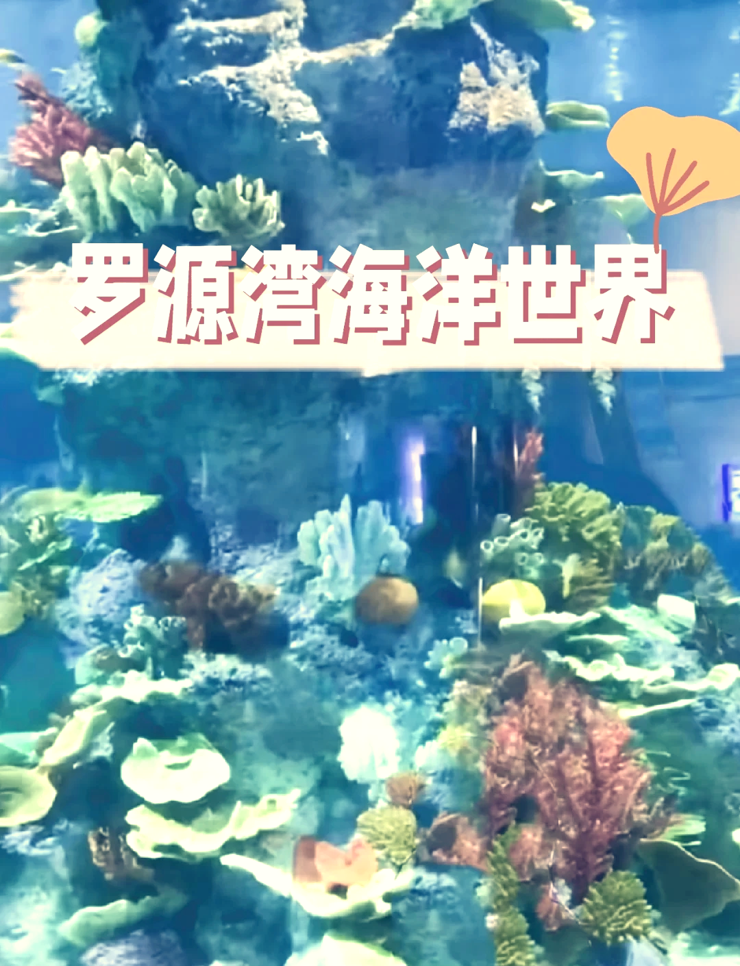 罗源湾海洋世界简介图片