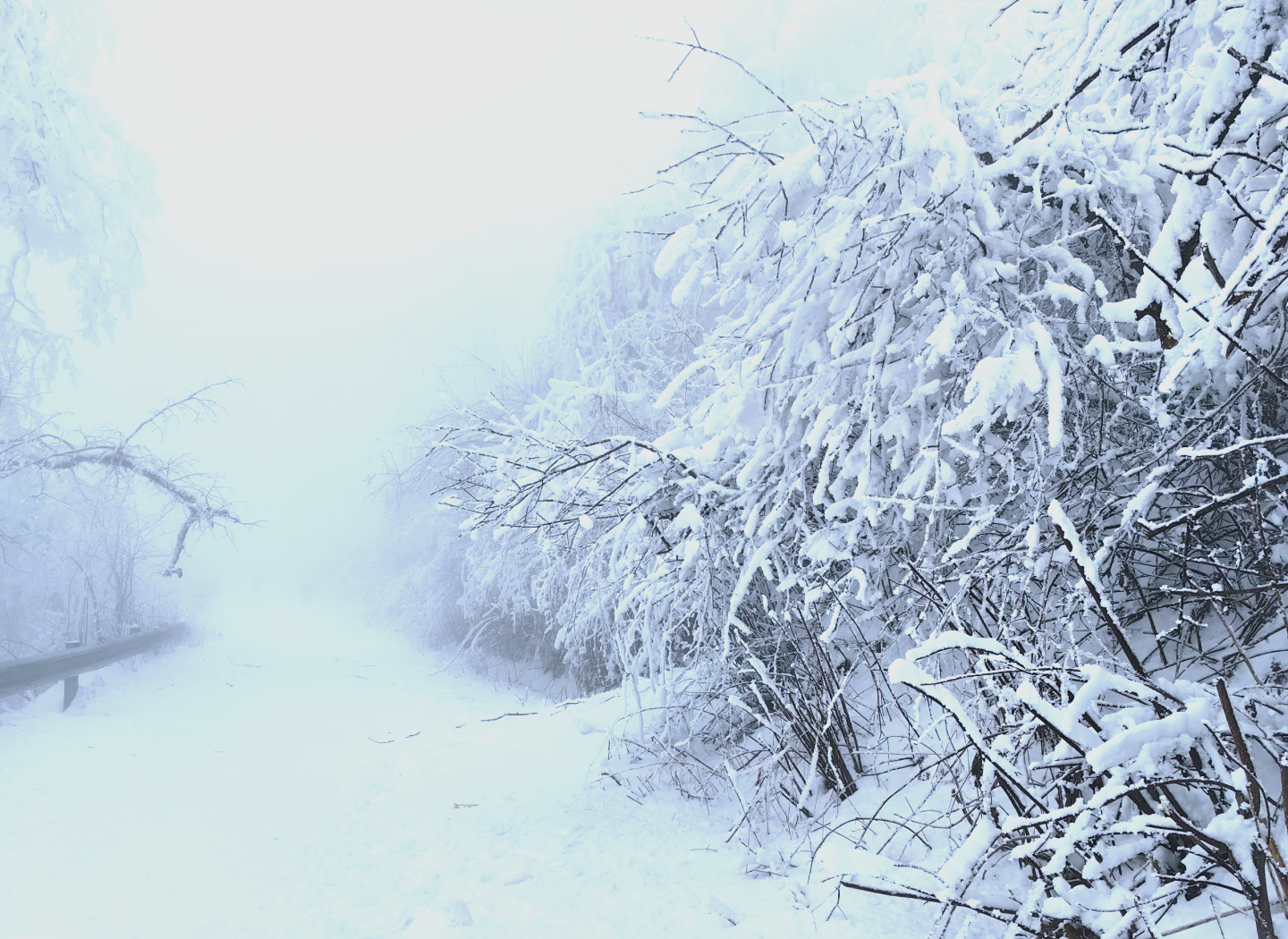 绵阳千佛山滑雪场门票图片