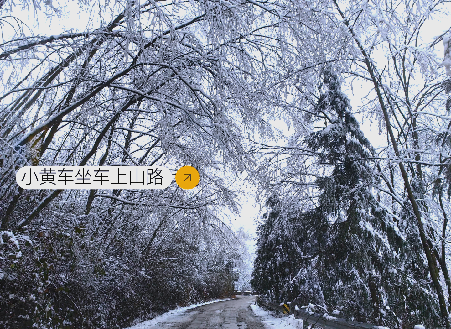 绵阳千佛山滑雪场门票图片