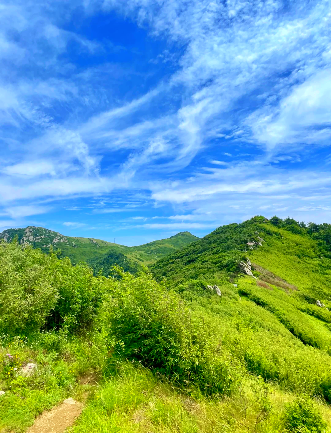 秦楚古道景区图片