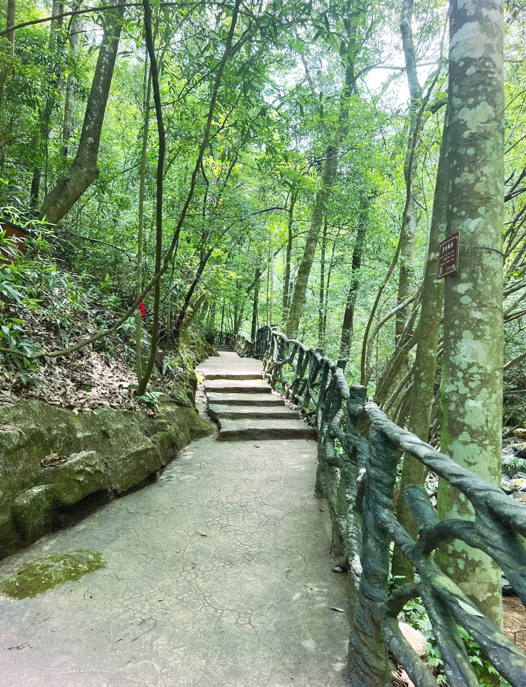 黄桑生态旅游区图片