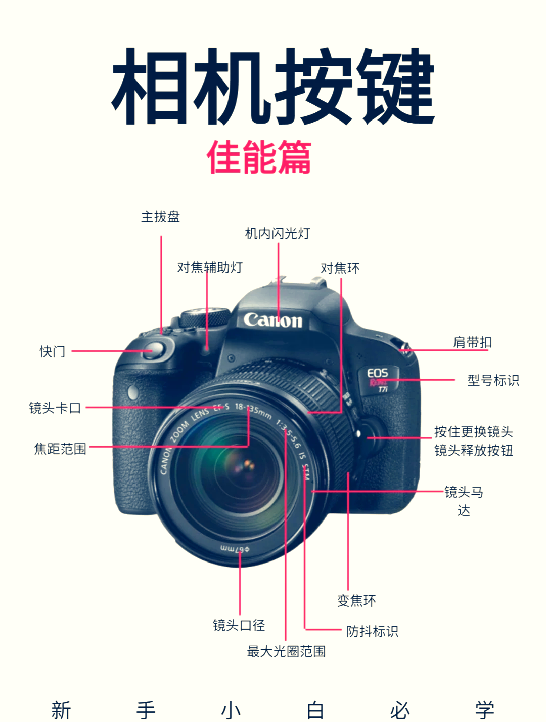 佳能eos50d按键图解图片