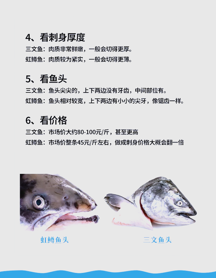 赤眼鳟价格图片