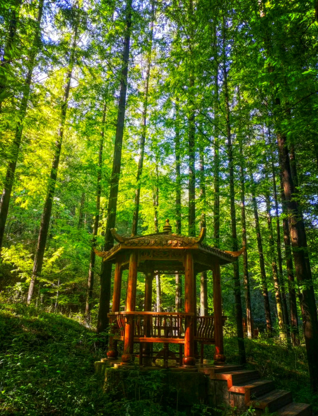 三门峡燕子山图片