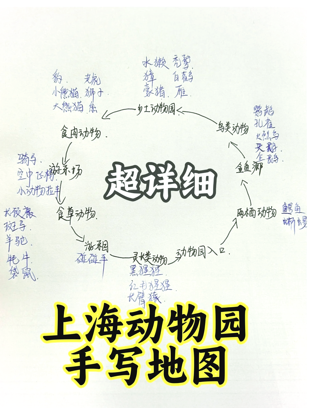 动物园结构图图片