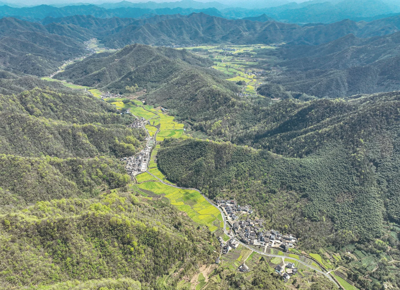 东山县坑北村图片