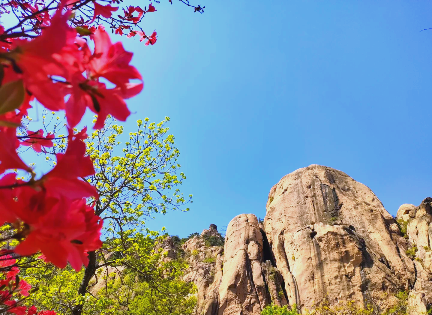 山东九仙山风景区图片