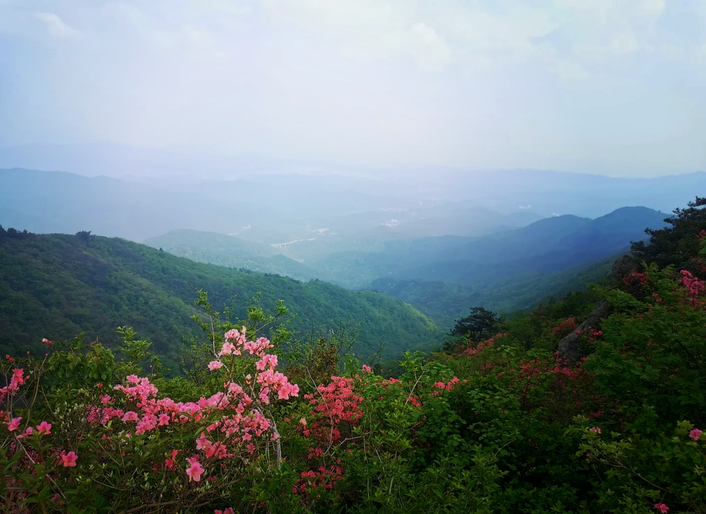 云雾山香烟价格表图图片