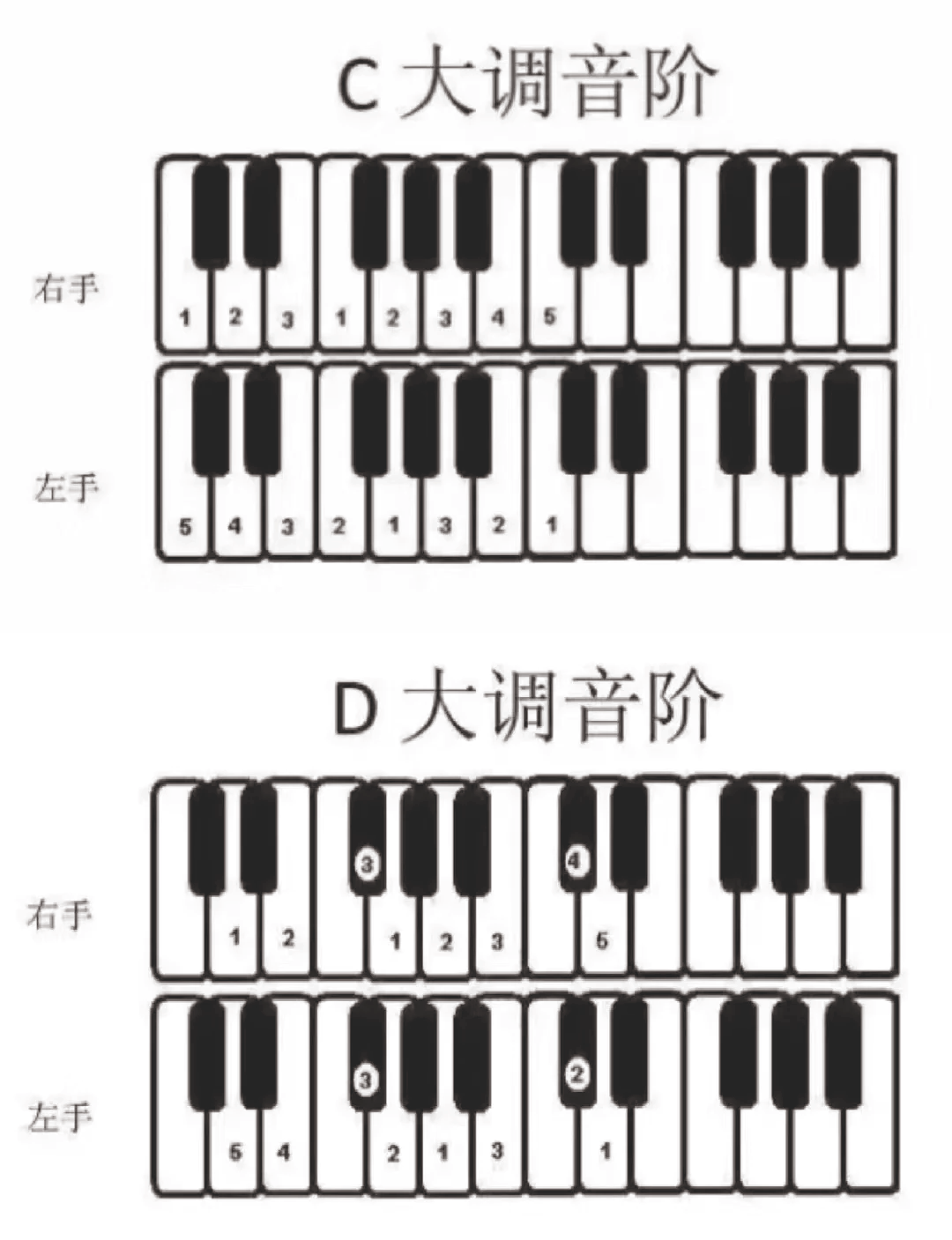 电子琴移调图解图片