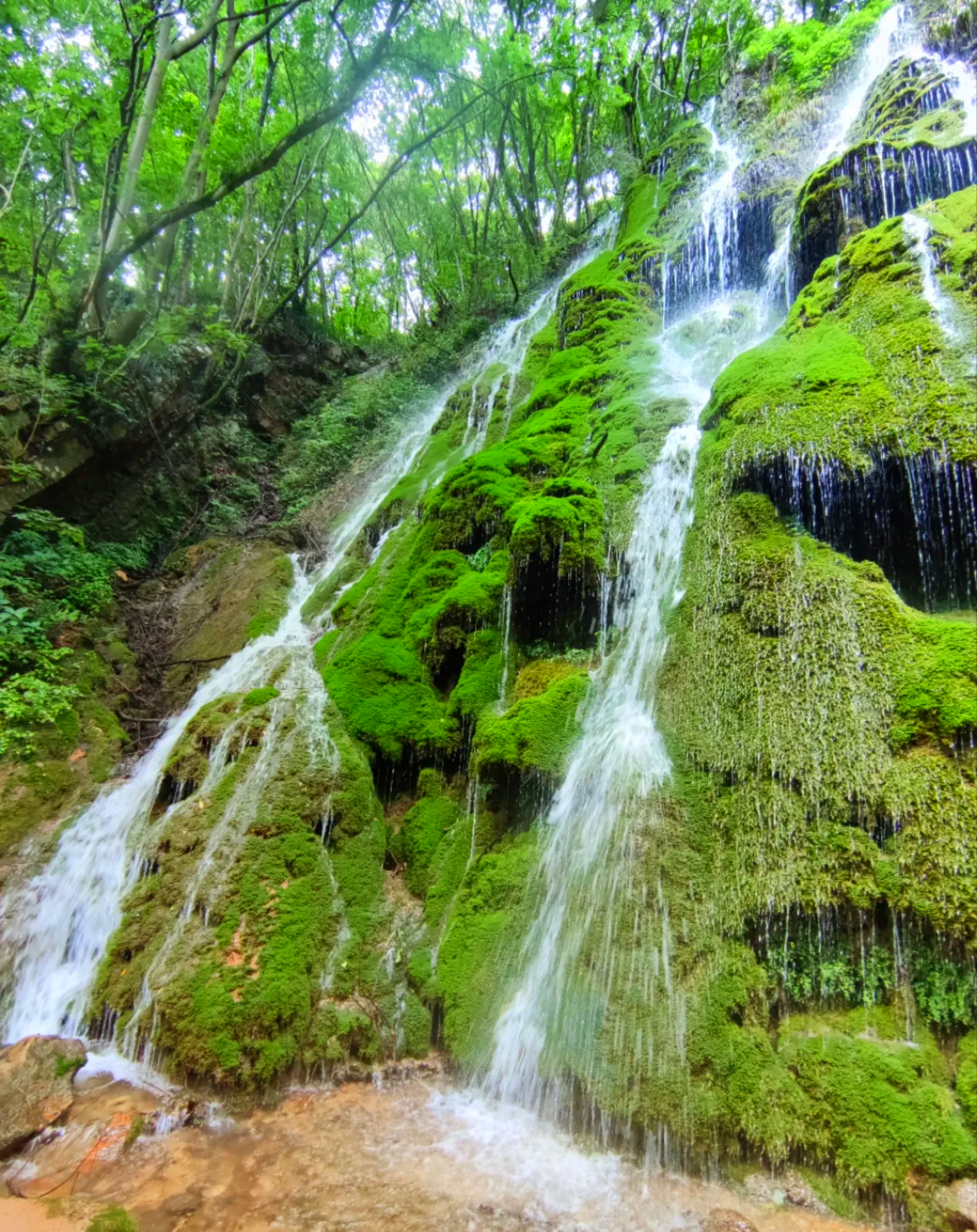 南陵周边免费景点图片