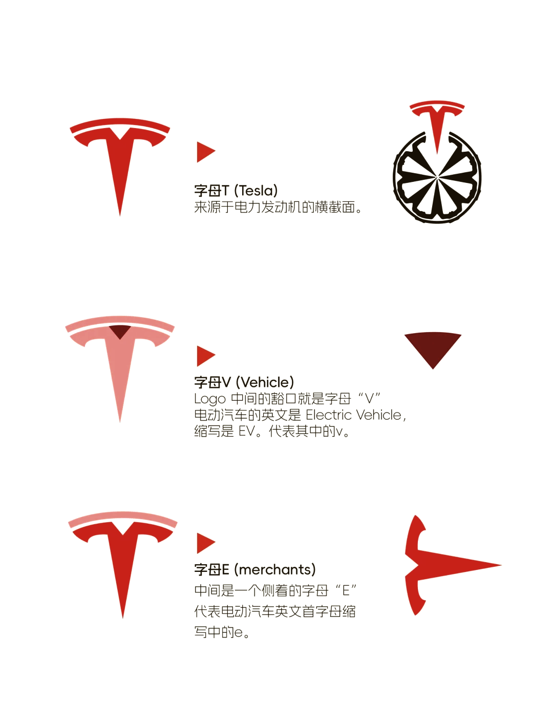 t字车标除了特斯拉图片