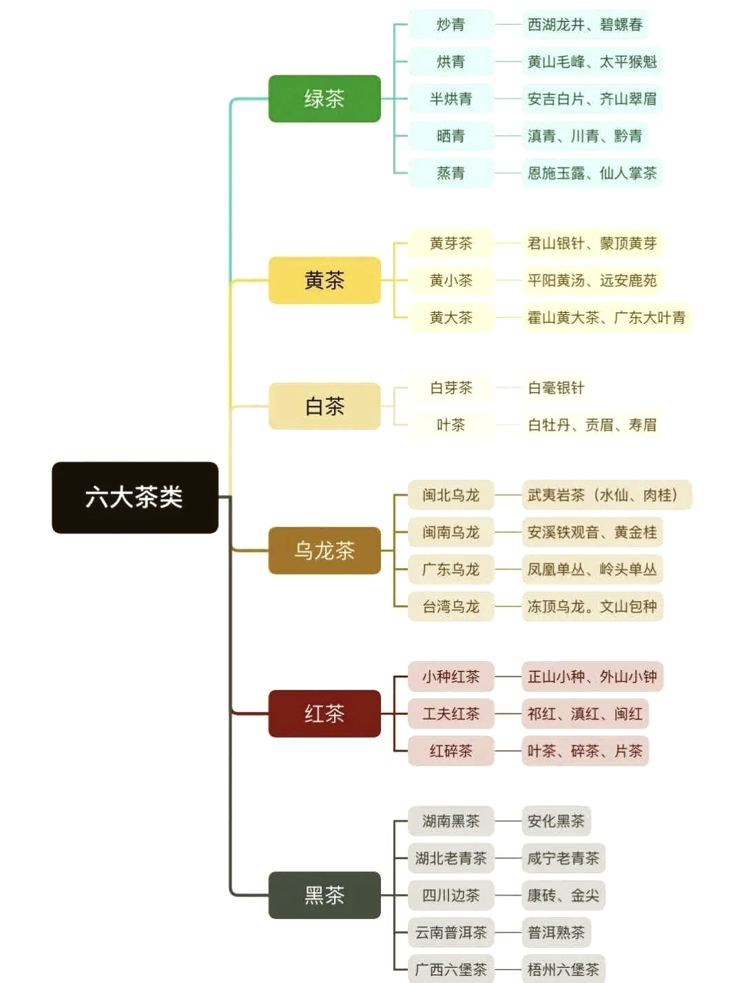 六大名山茶图片