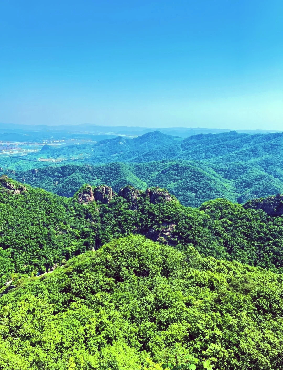 凤凰山照片图片