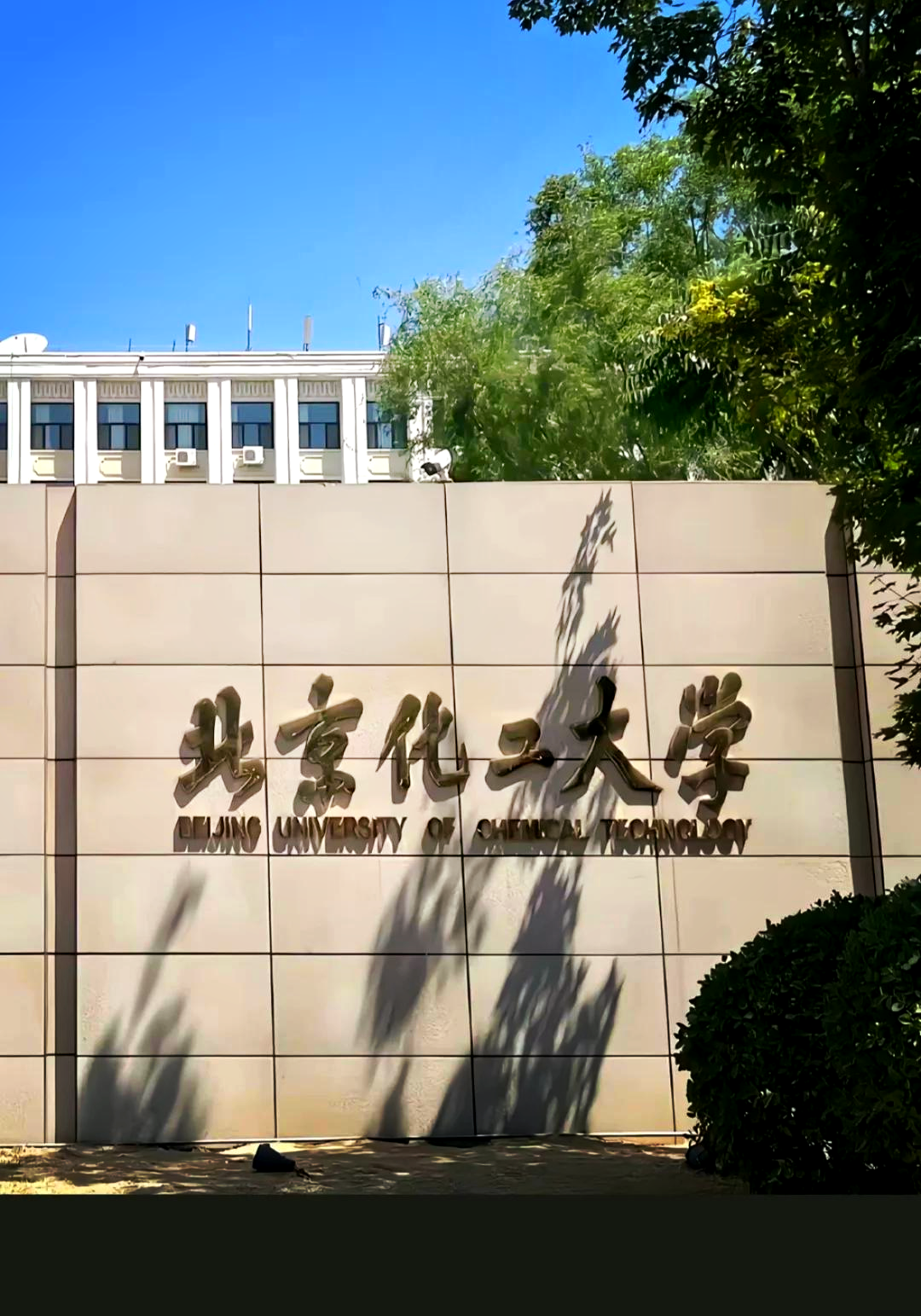 北京化工大学老照片图片