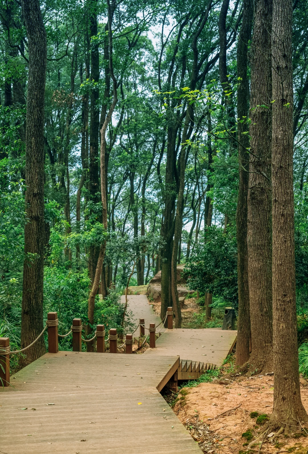 合江笔架山风景区图片图片