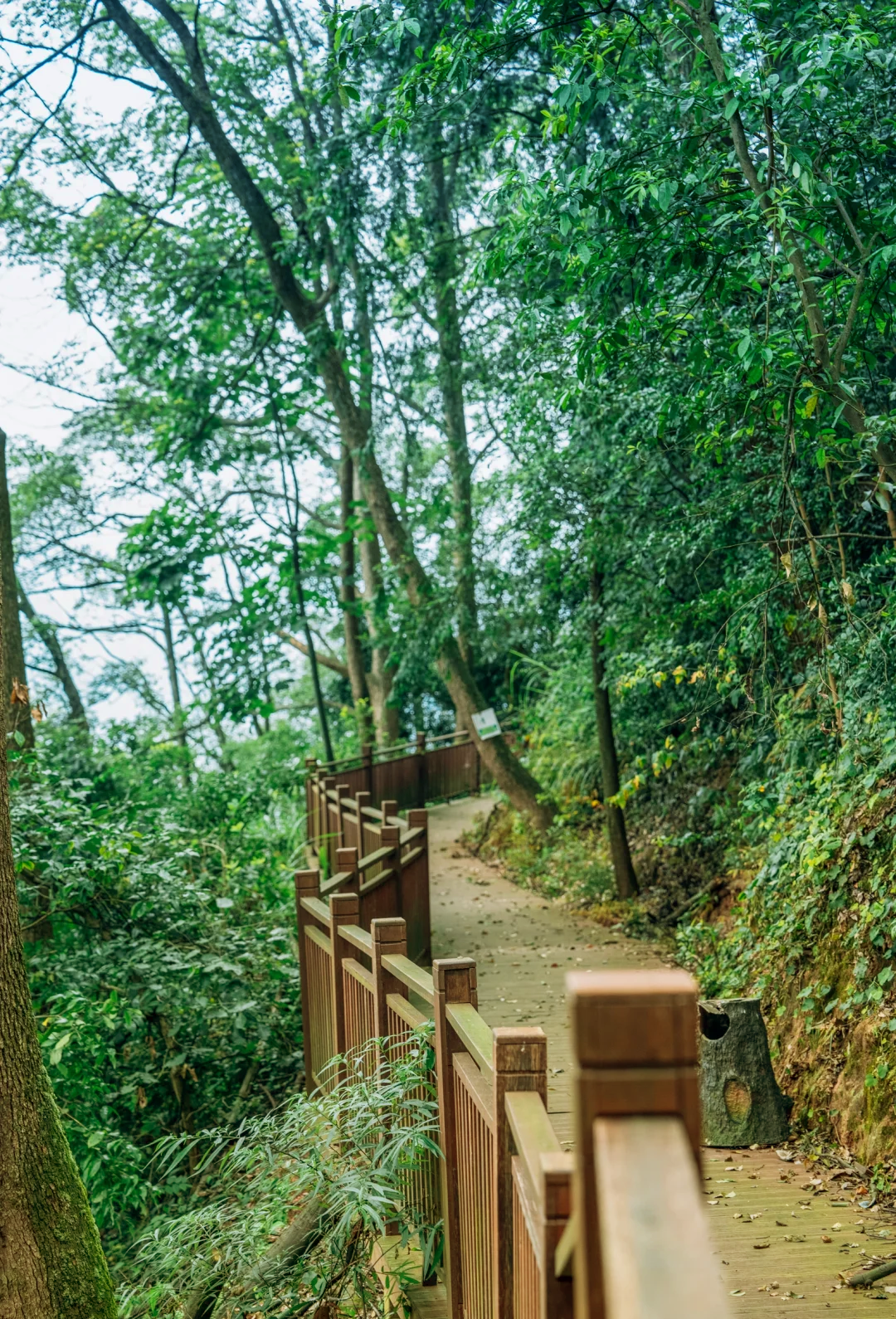 合江的笔架山图片