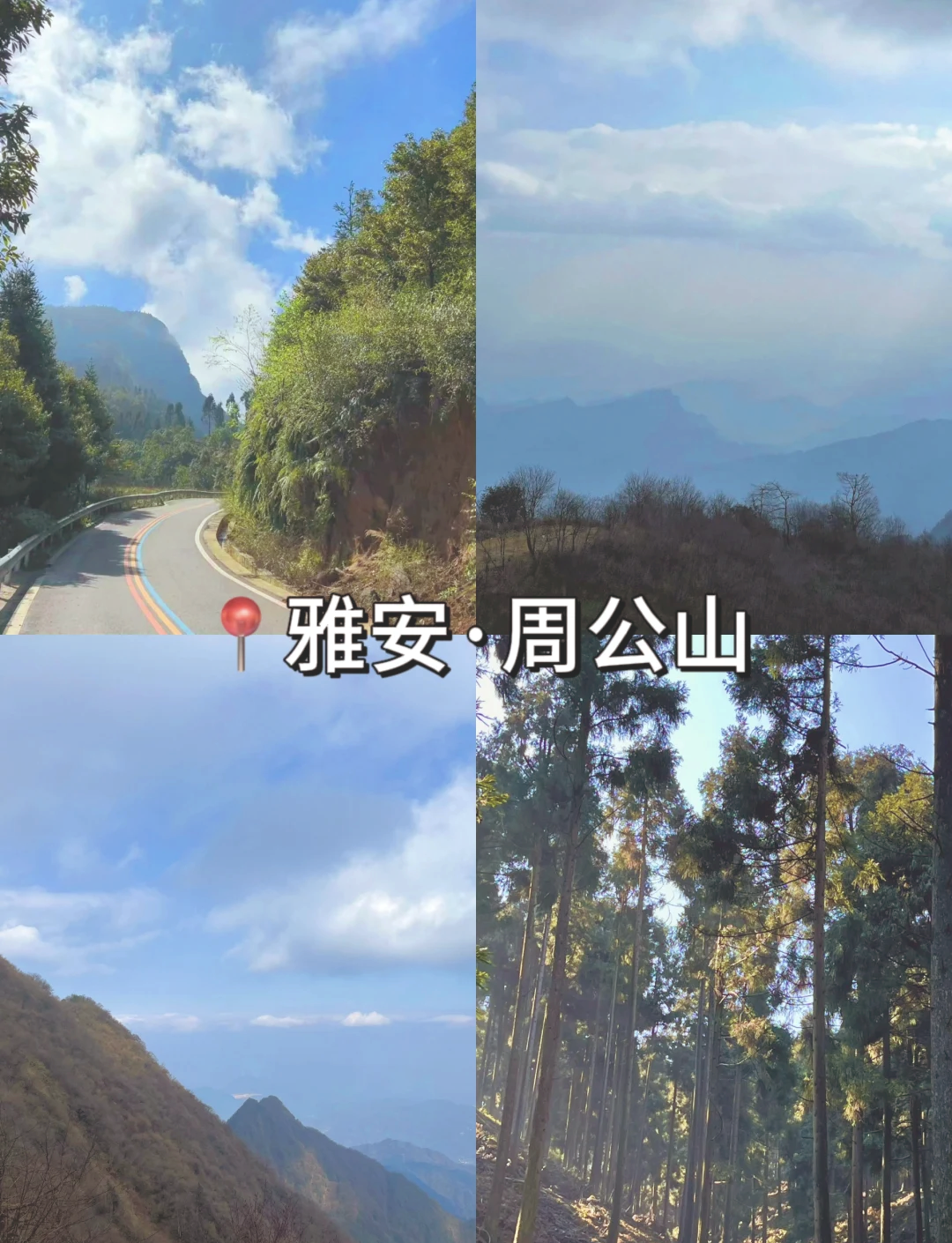 雅安周公山景区简介图片