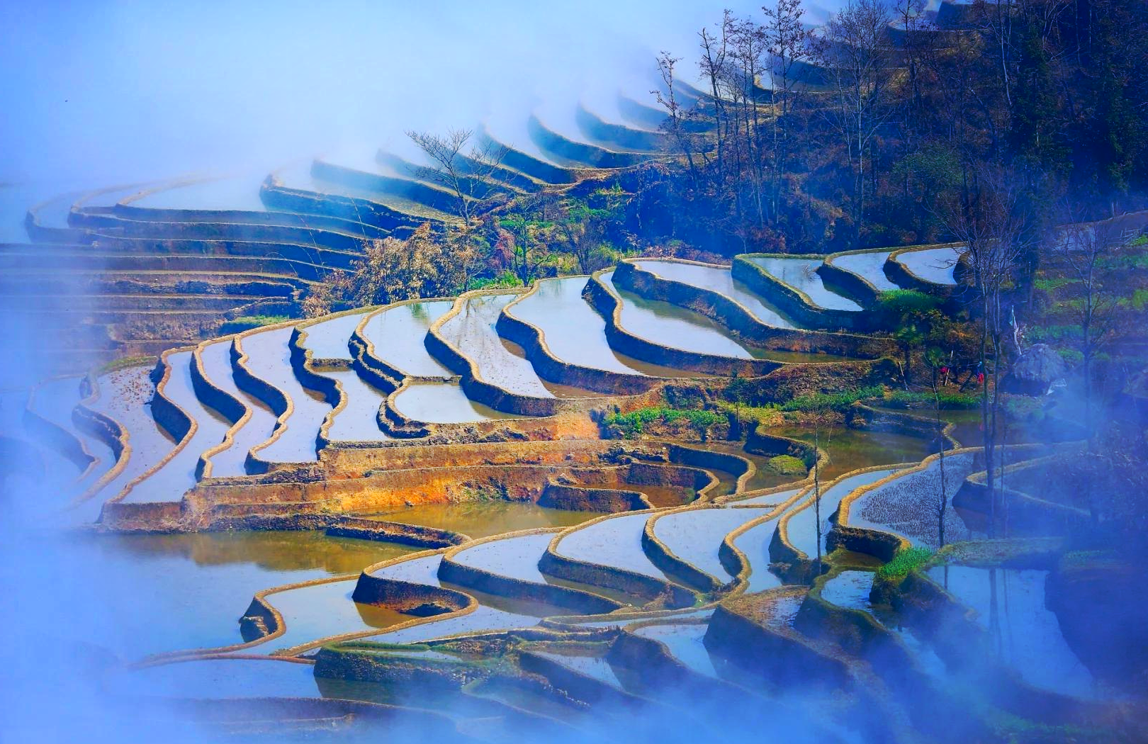 红河哈尼梯田图片大全图片