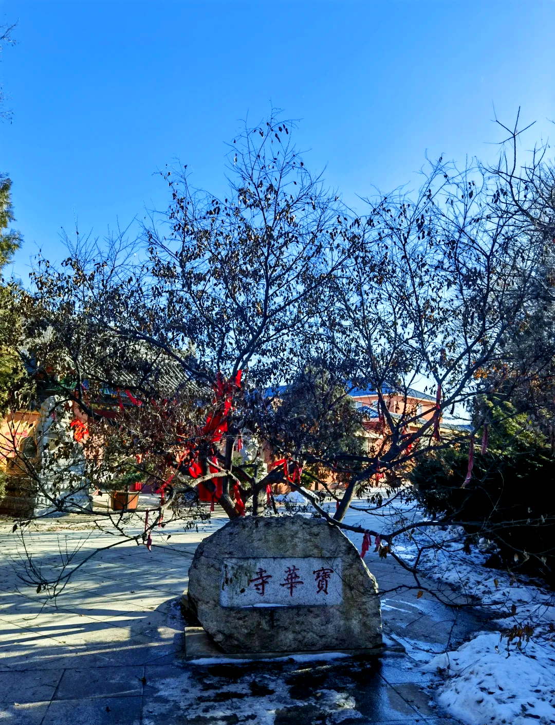 大连宝华寺图片