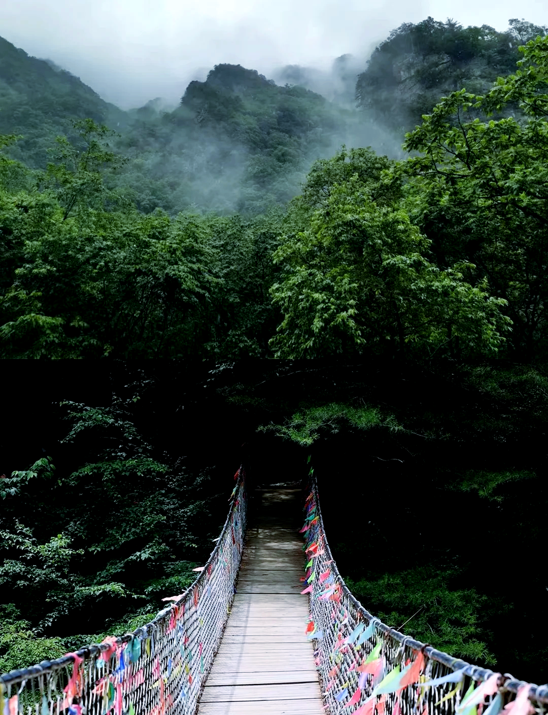 青峰峡国家森林公园图片