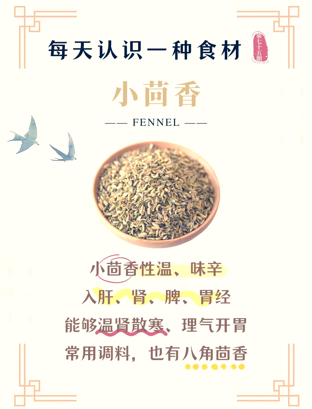 大茴香与小茴香的区别图片