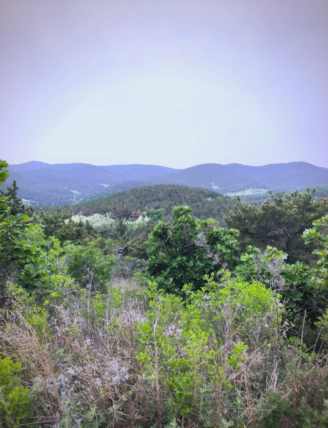 九头山旅游度假村图片