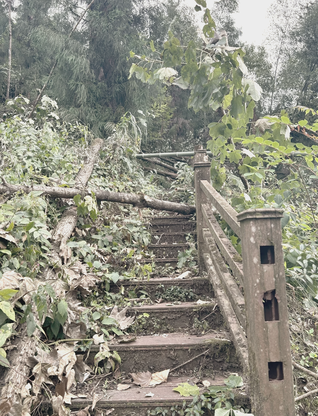 大邑千佛山风景区图片