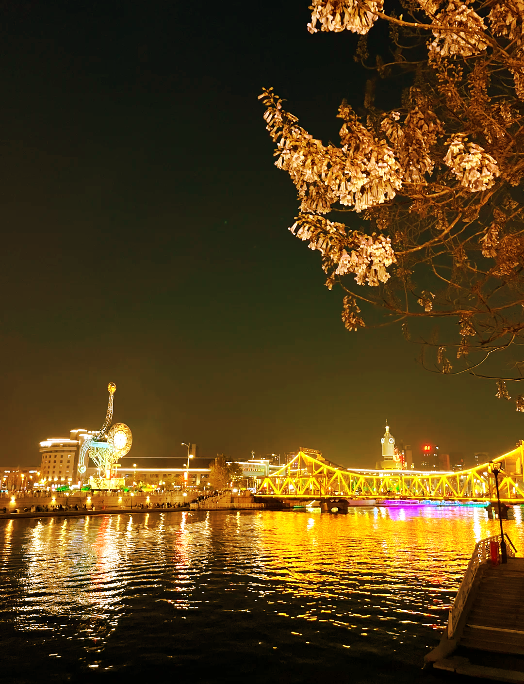 天津海河大桥夜景图片