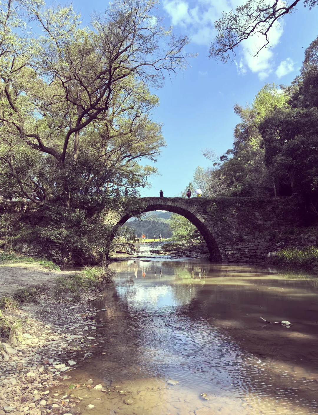 婺源江岭景区电话图片