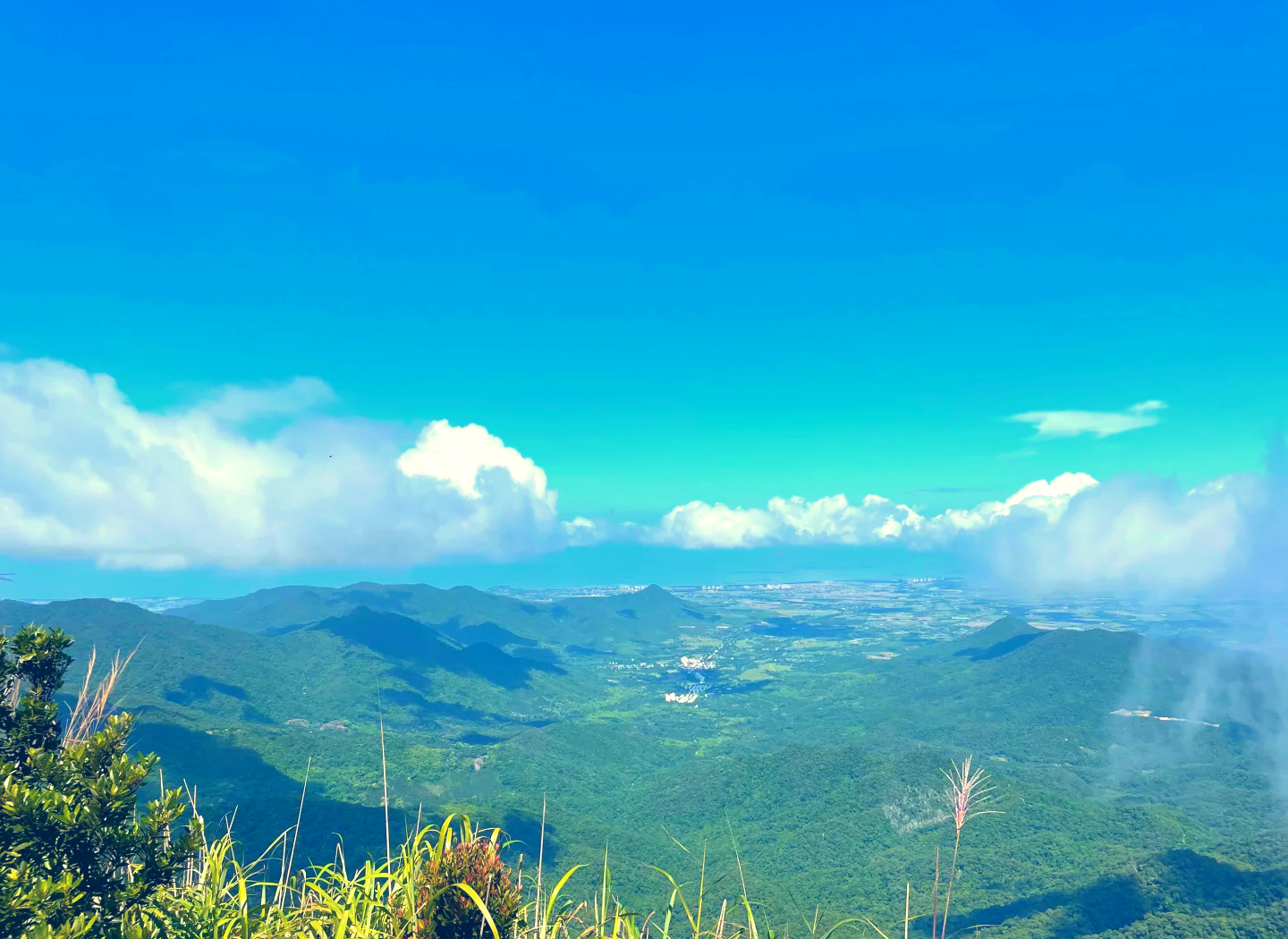 尖峰岭海拔图片