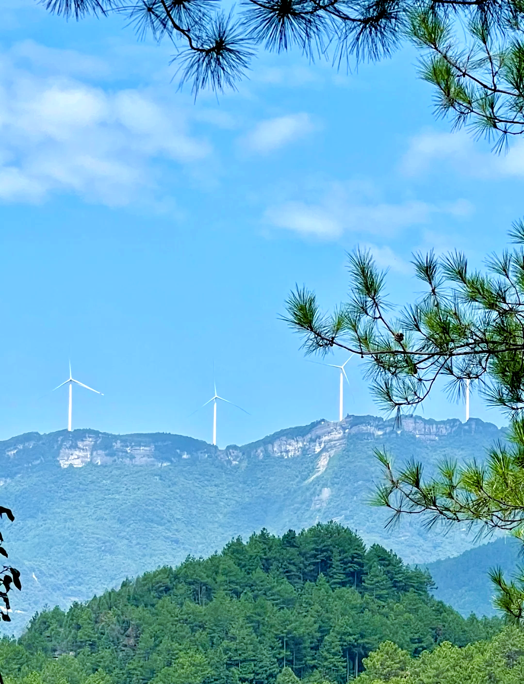 南川山王坪露营基地图片