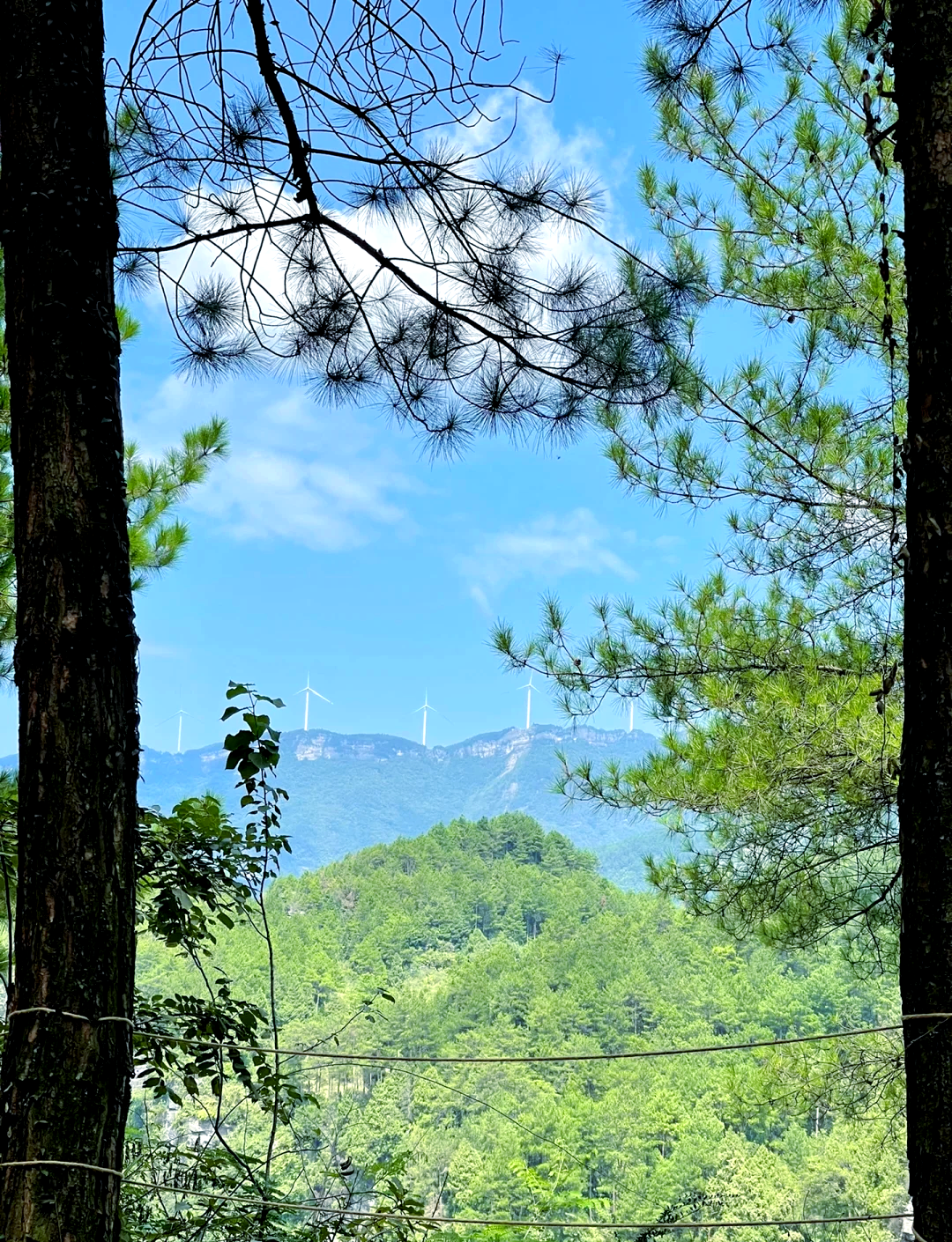 南川山王坪露营基地图片