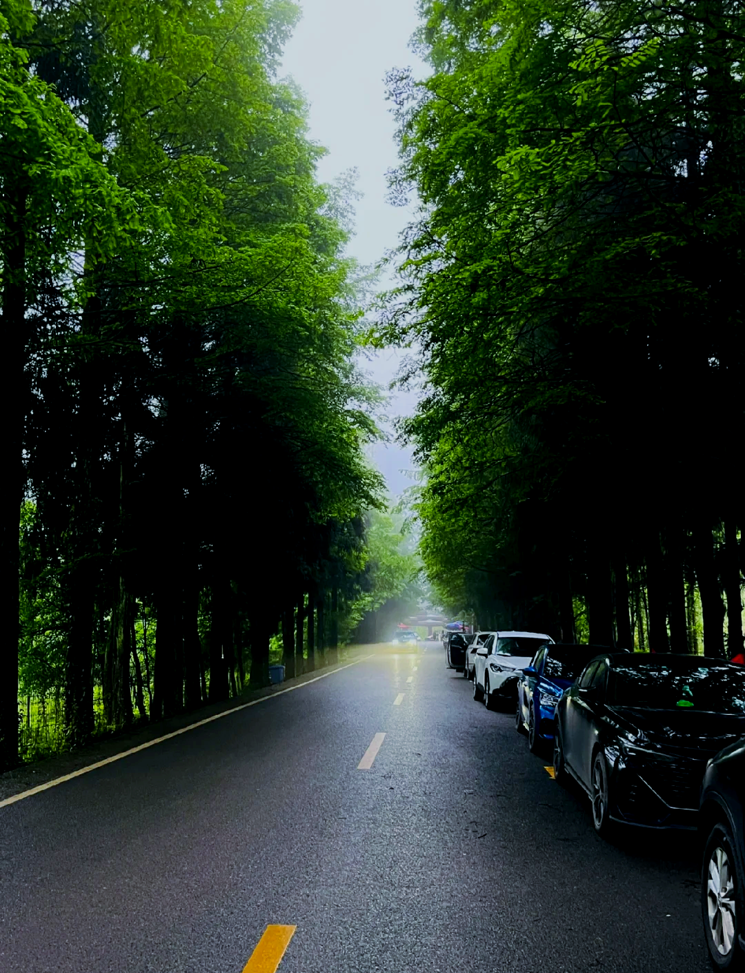 南川山王坪露营基地图片