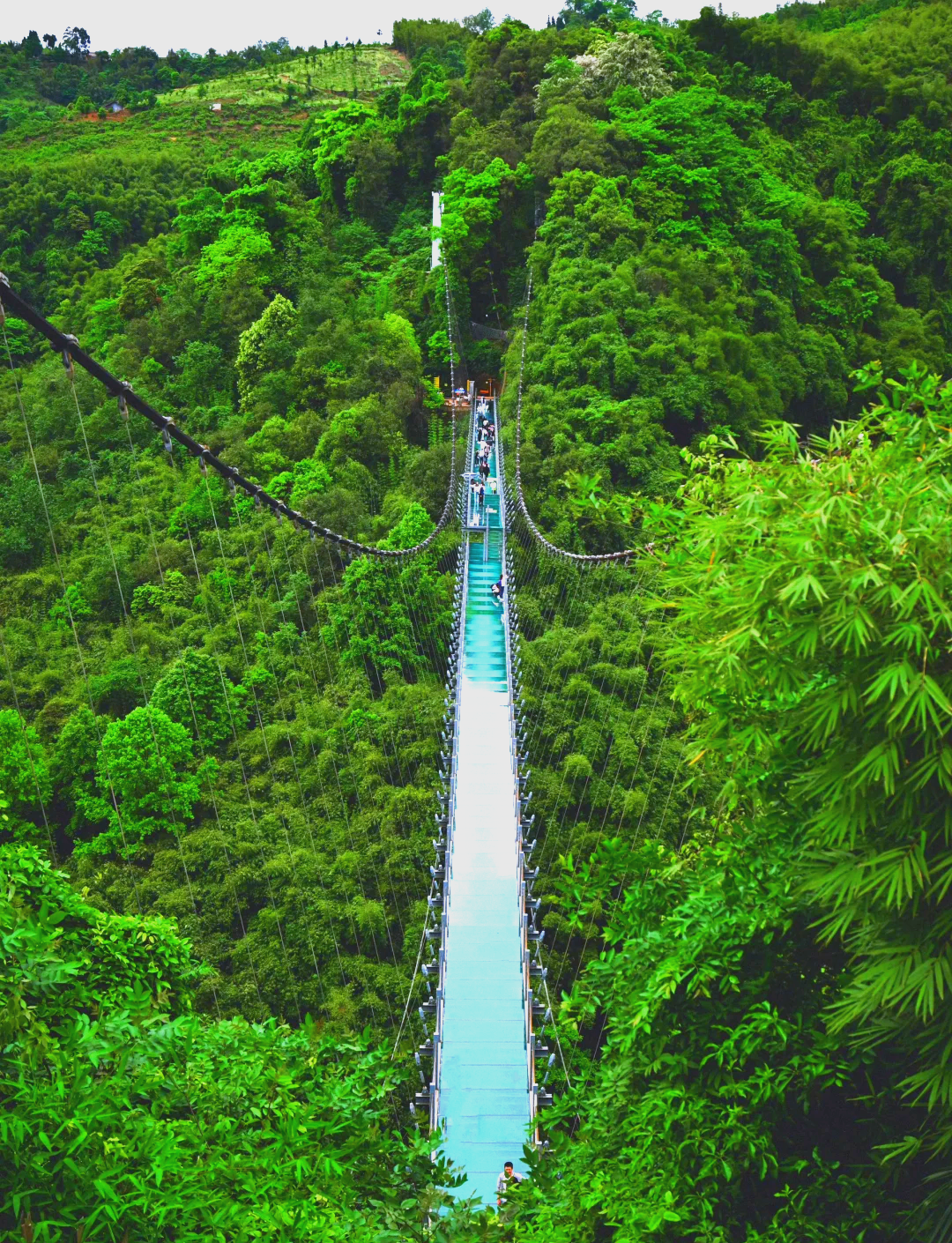 成都川西竹海景区图片