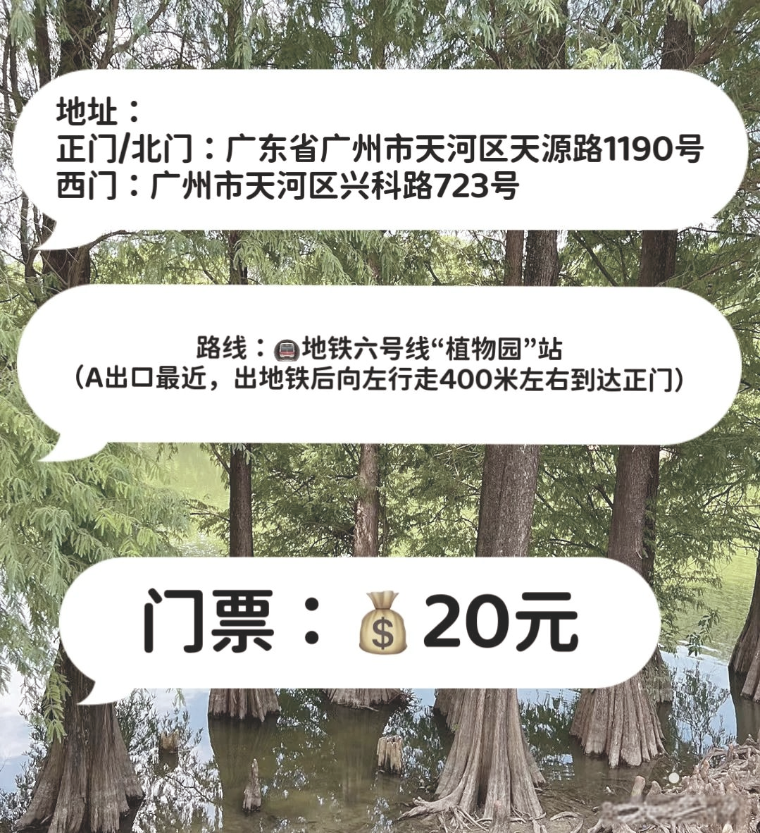 华南植物园门票图片