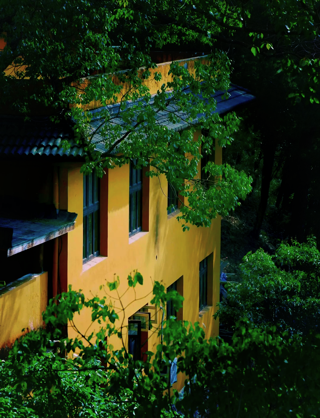 建德玉泉寺图片