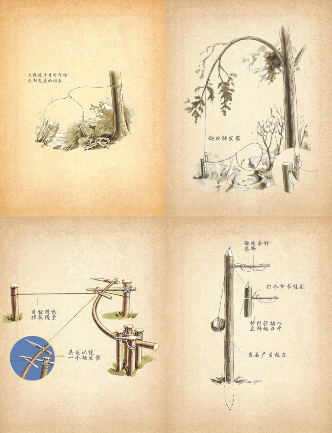 套索陷阱制作图解图片