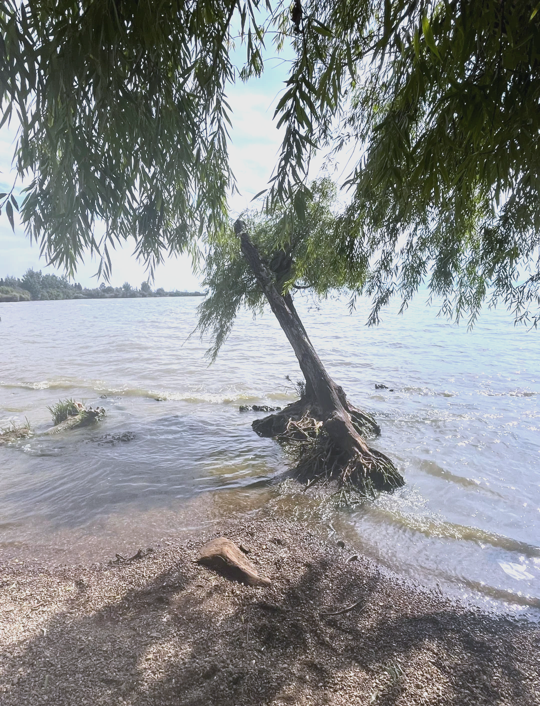 捞鱼河湿地公园图片