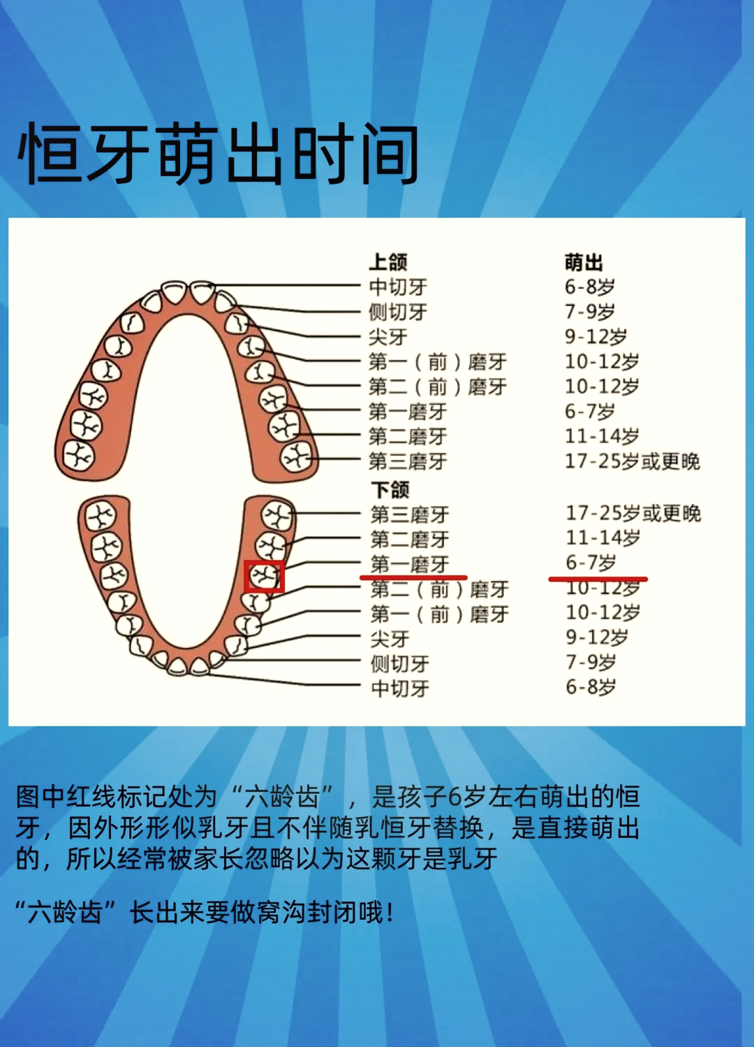 牙齿替换的顺序图片